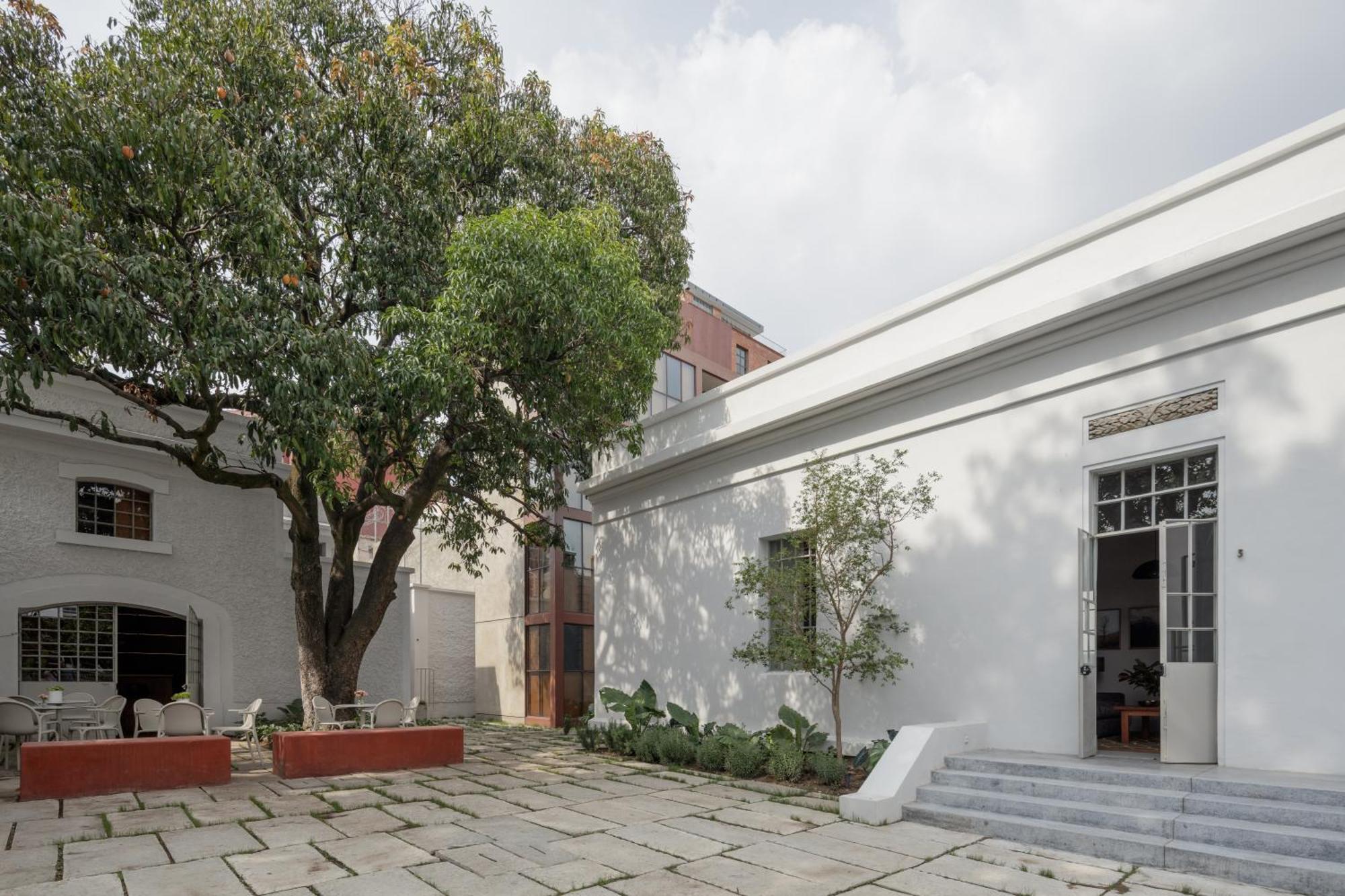 Casa Bosque Eduviges Hotel Guadalajara Buitenkant foto
