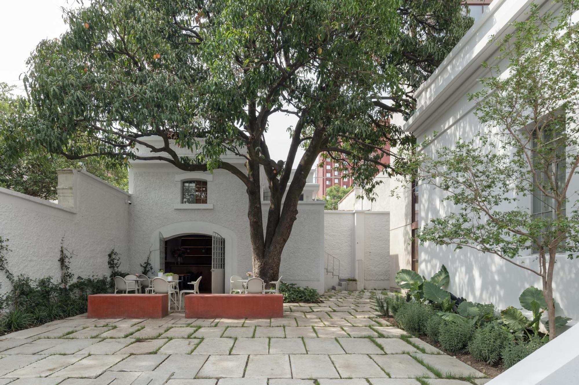 Casa Bosque Eduviges Hotel Guadalajara Buitenkant foto